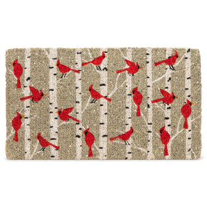 Outdoor Door Mat