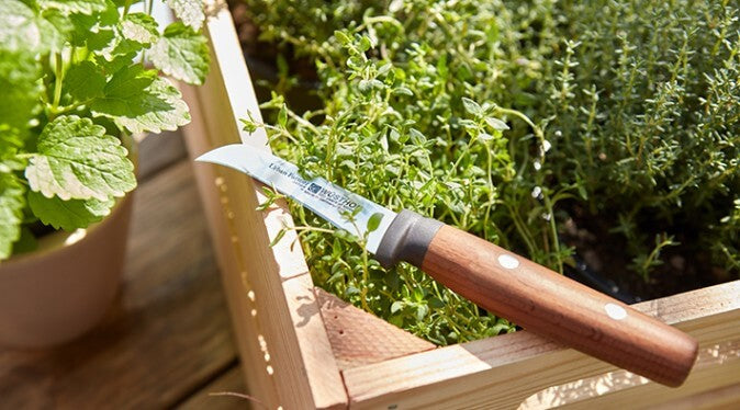 Wusthof Urban Farmer Pruning Knife 3 Inch
